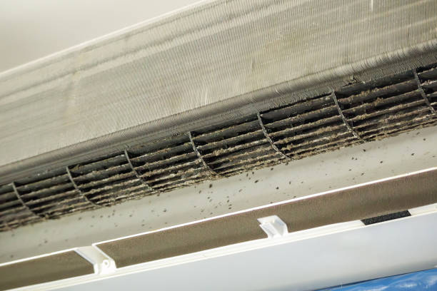 Best Ventilation Cleaning Services  in Quinnesec, MI